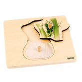 INCASTRI 1-3 ANNI: FINOCCHIO