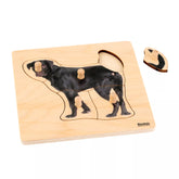 INCASTRI 1-3 ANNI: CANE