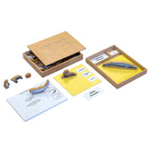 SCATOLA DEGLI ANIMALI DEGLI OCEANI