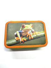 ASTUCCIO 3 ZIP PIENO ANIMAL RANA