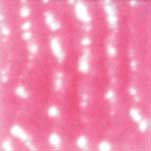 MOSAICO VENEZIANO - CONF.80 TESSERE - ROSA FORTE