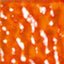 MOSAICO VENEZIANO - CONF.80 TESSERE - ARANCIO
