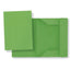 CARTELLINA LUCE 3 LEMBI 25X34 GR. 200 PZ. 30 VERDE