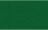 CARTONE SPESSO 48X68 GR. 380 VERDE