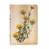 DIARIO NOTES MINI WOODLAND DAISIES PAPERBLANKS