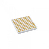 QUADRATO DEL 100 IN LEGNO