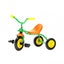 Triciclo Start-Asilo
