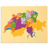 INCASTRO DELLA SVIZZERA