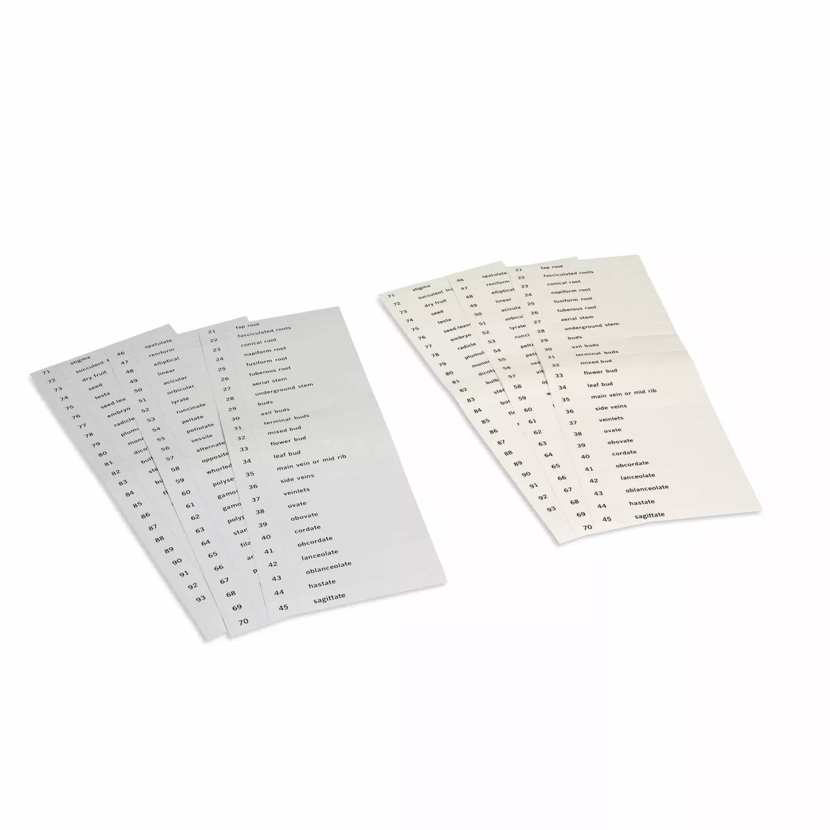 NOMENCLATURA PER CARTELLINI DELLA BOTANICA, SECONDA SERIE