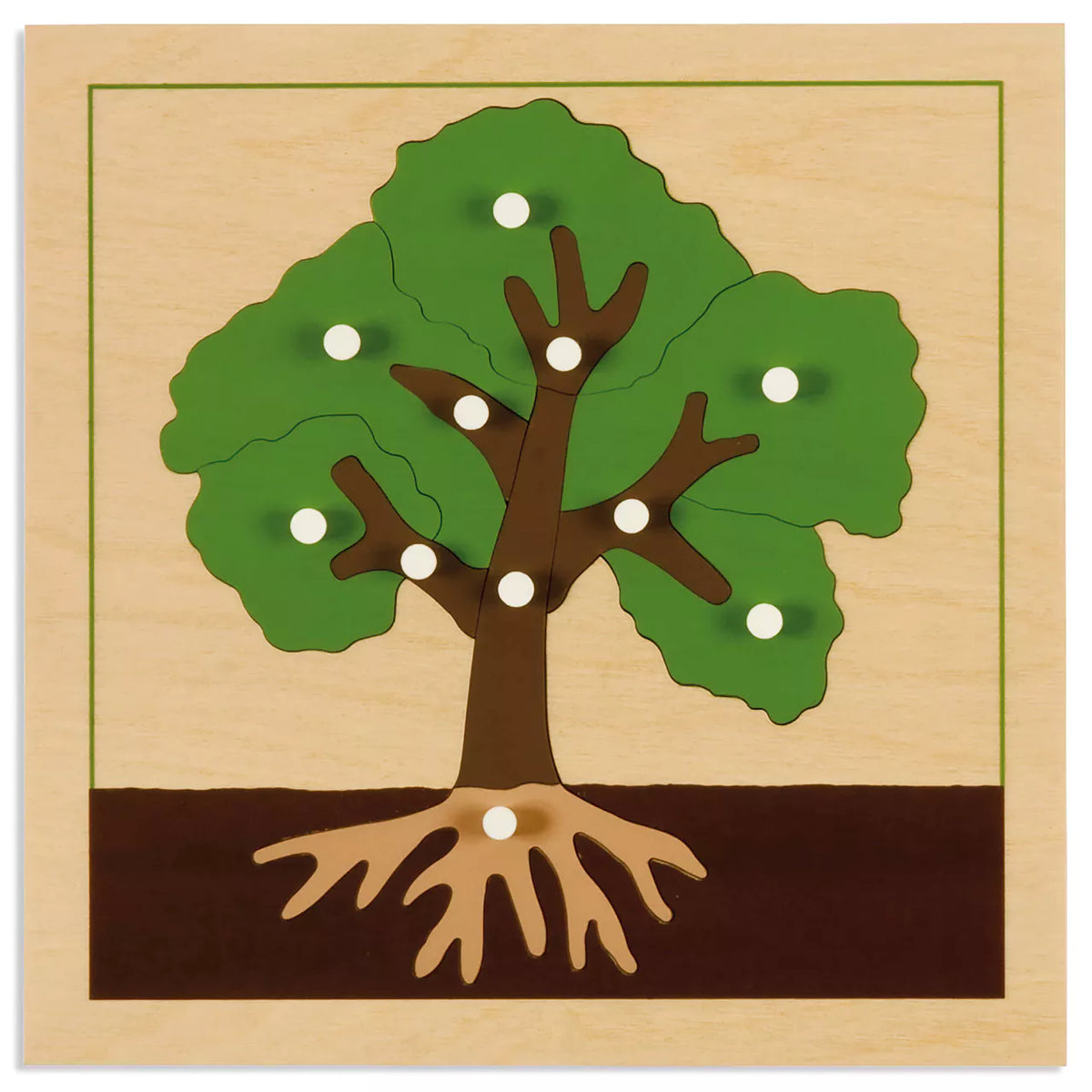 INCASTRO DELL'ALBERO