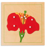 INCASTRO DEL FIORE