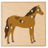PUZZLE DEGLI ANIMALI:CAVALLO