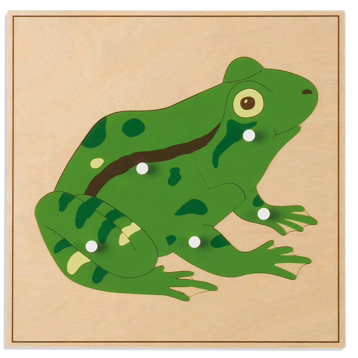 PUZZLE DEGLI ANIMALI:RANA Immagine principale del prodotto