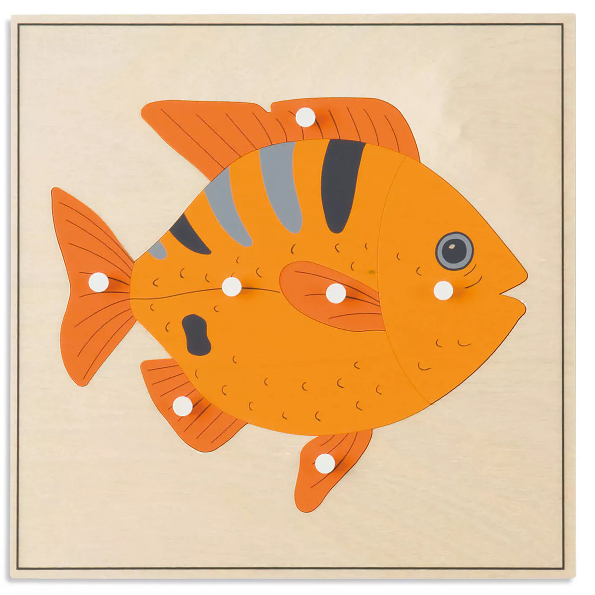 PUZZLE DEGLI ANIMALI:PESCE Immagine principale del prodotto