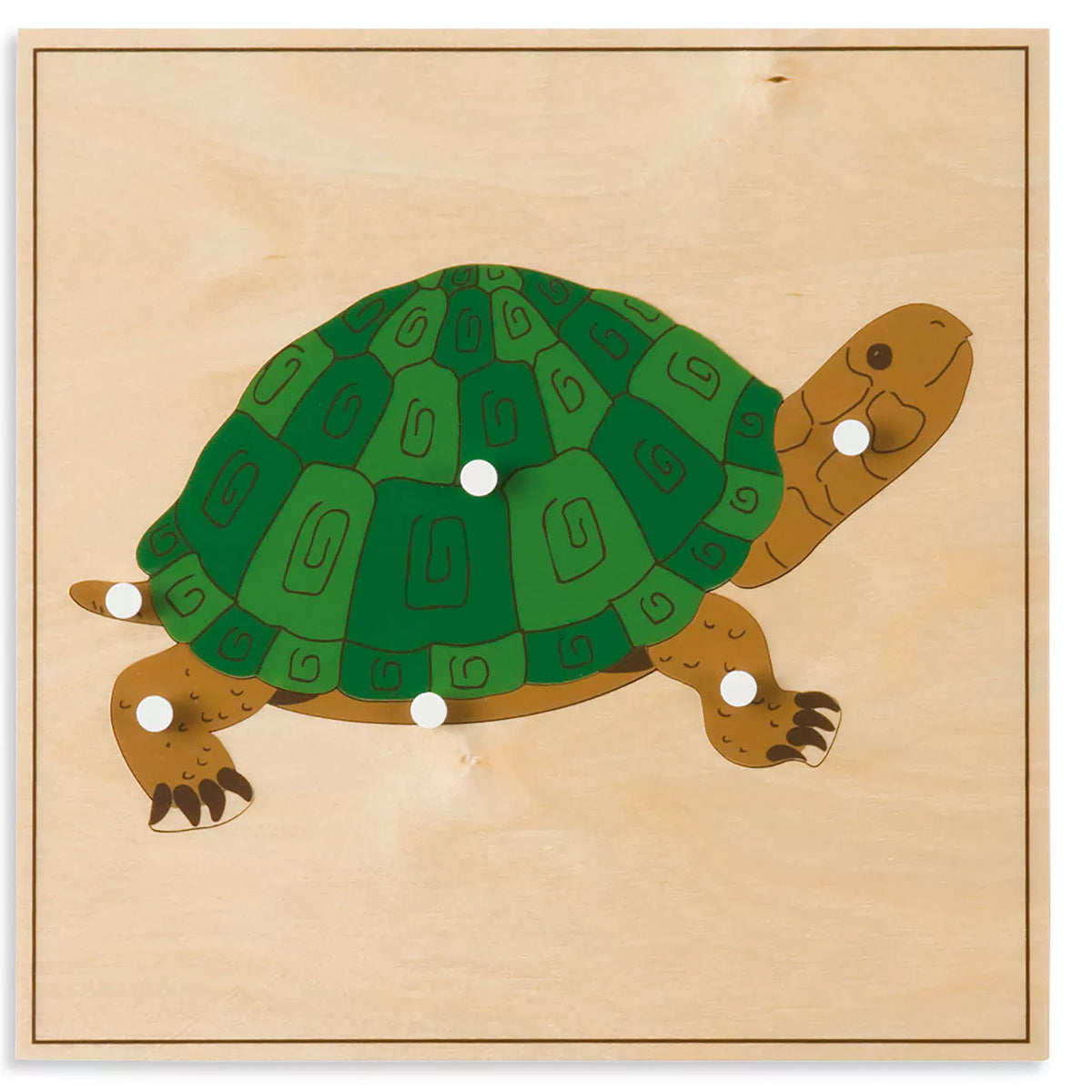 PUZZLE DEGLI ANIMALI:TARTARUGA Immagine principale del prodotto