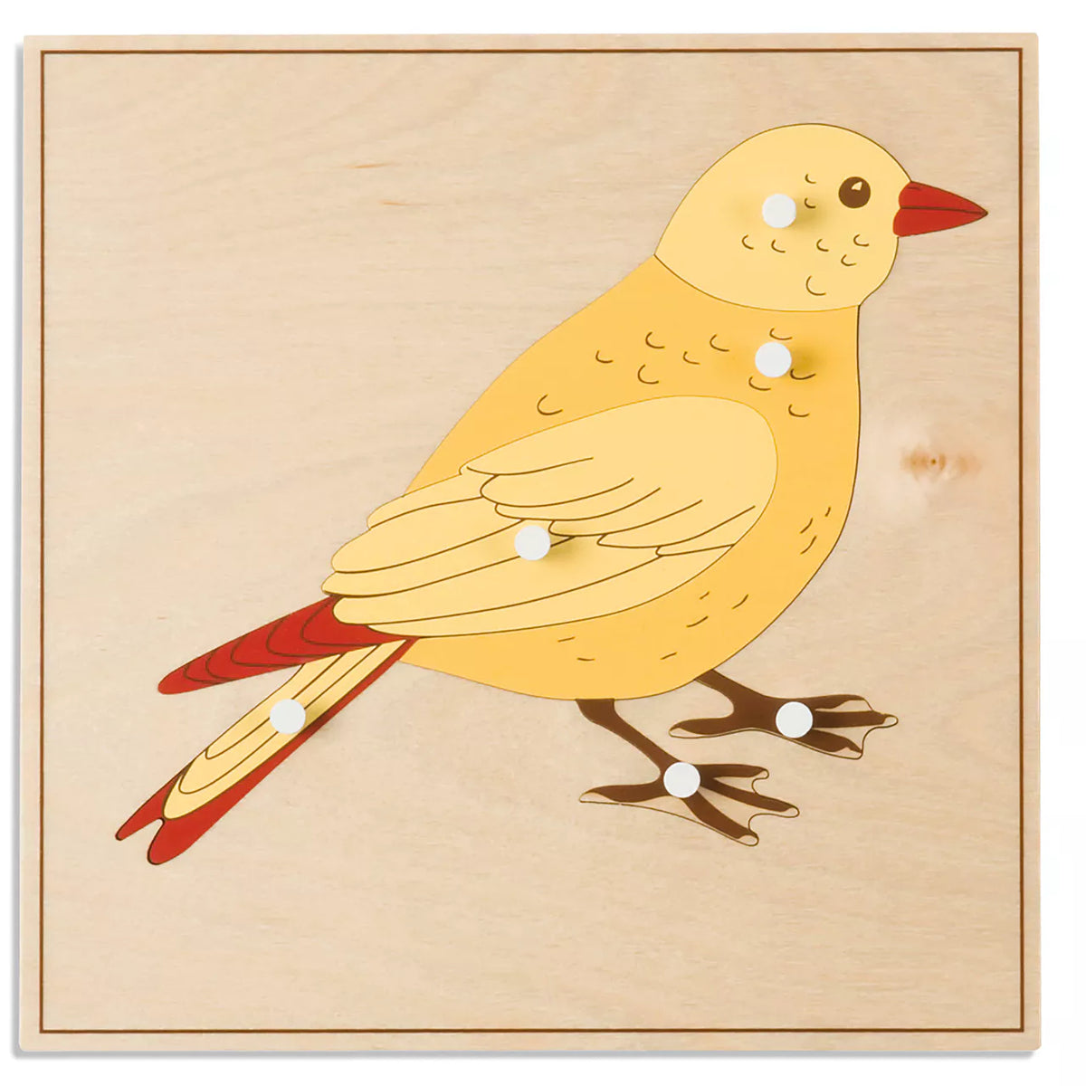 PUZZLE DEGLI ANIMALI:UCCELLO Immagine principale del prodotto