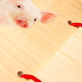PRE-LIBRO: ANIMALI