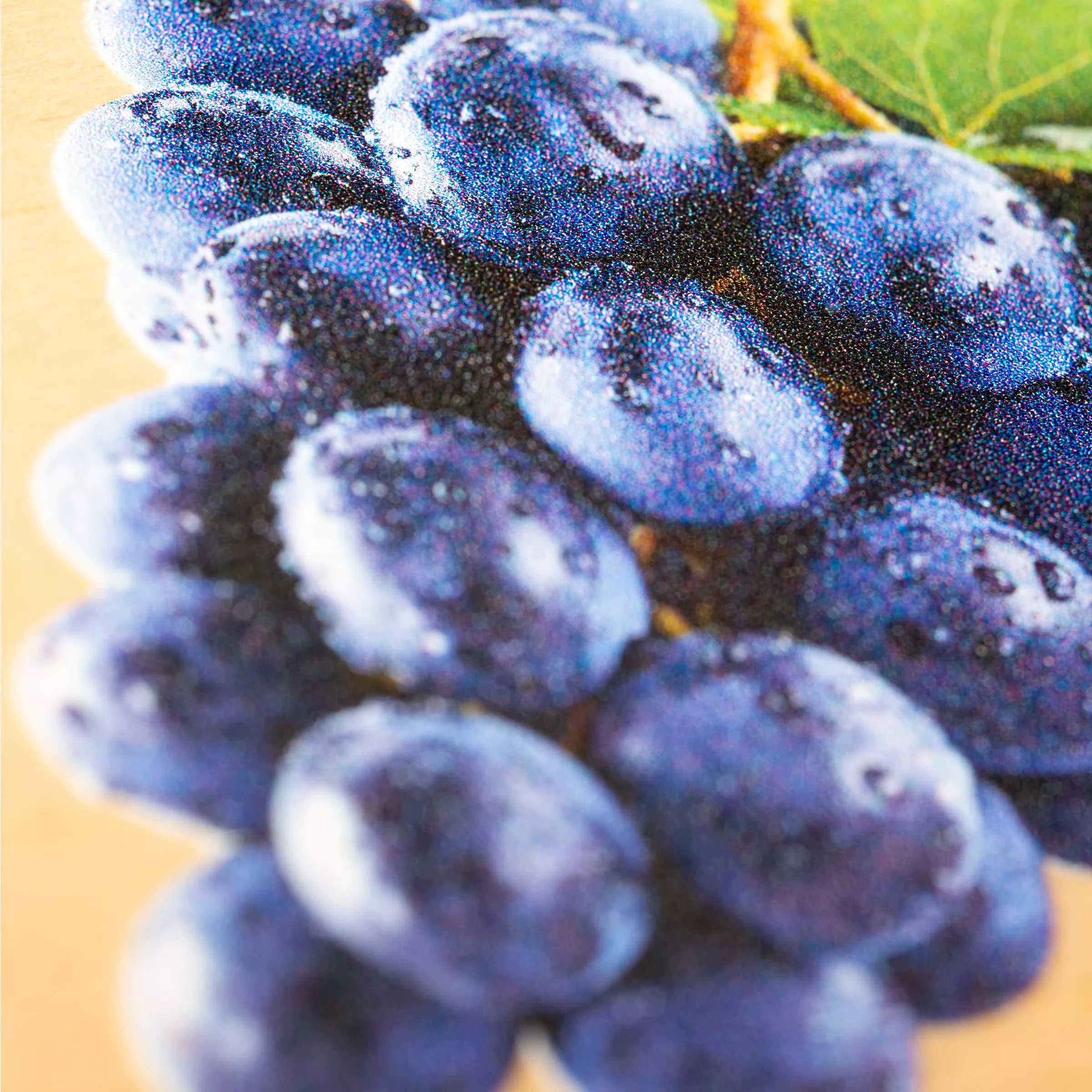 PRE-LIBRO: FRUTTA