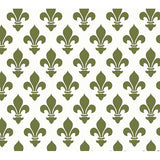 CARTA VARESE - CONFEZIONE 12 FG CM. 70X100 VERDE