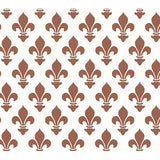 CARTA VARESE - CONFEZIONE 12 FG CM. 70X100 MARRONE