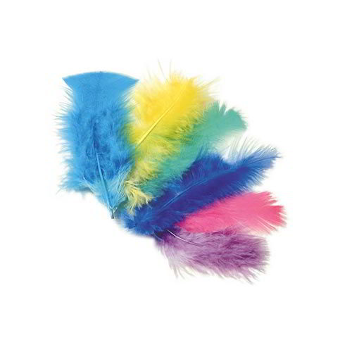 PIUME COLORATE - BUSTA GR.10 Immagine principale del prodotto