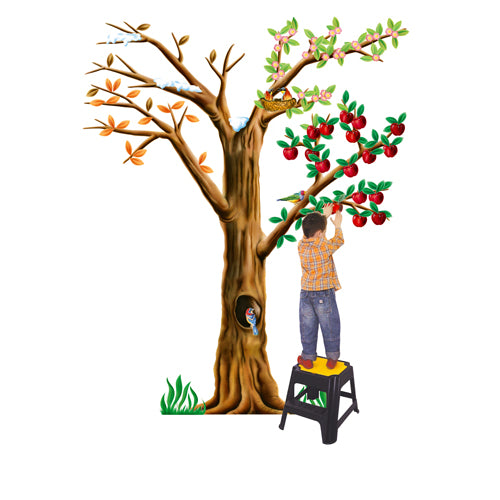 Albero Le 4 Stagioni In Cartone Immagine principale del prodotto