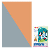 CARTONCINO  GR.400 CM.50X70 - ARGENTO/ARANCIO - CO