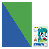 CARTONCINO  GR.400 CM.50X70 - BLU/VERDE - CONF.10