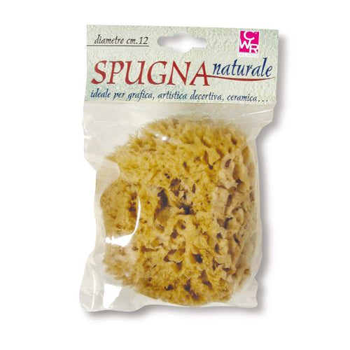 SPUGNA NATURALE DIAMETRO CM.12 Immagine principale del prodotto