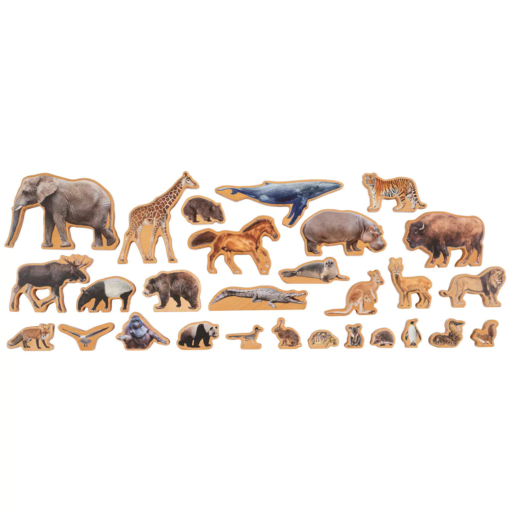 SCATOLA DEGLI ANIMALI DEI CONTINENTI
