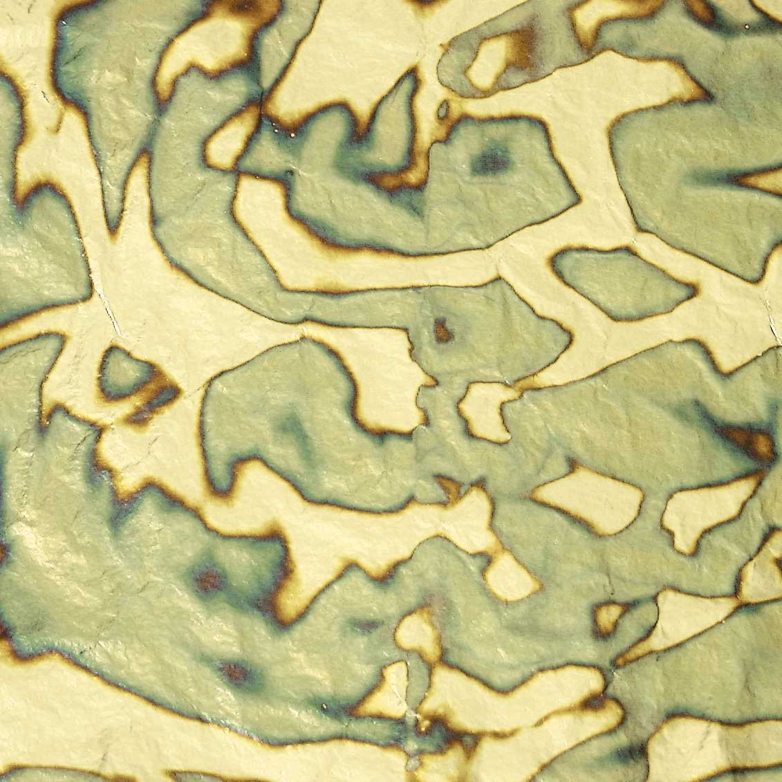 FOGLI ACIDATI CM.14X14 - CONF.10 FOGLI - VARIEGATO Immagine principale del prodotto