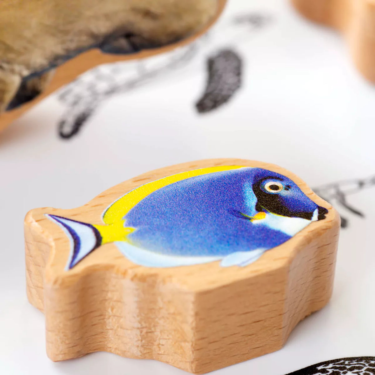 SCATOLA DEGLI ANIMALI DEGLI OCEANI
