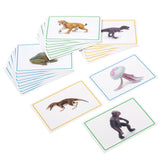 ANIMALI E LIBRO STRISCIA EVOLUZIONE TERRA