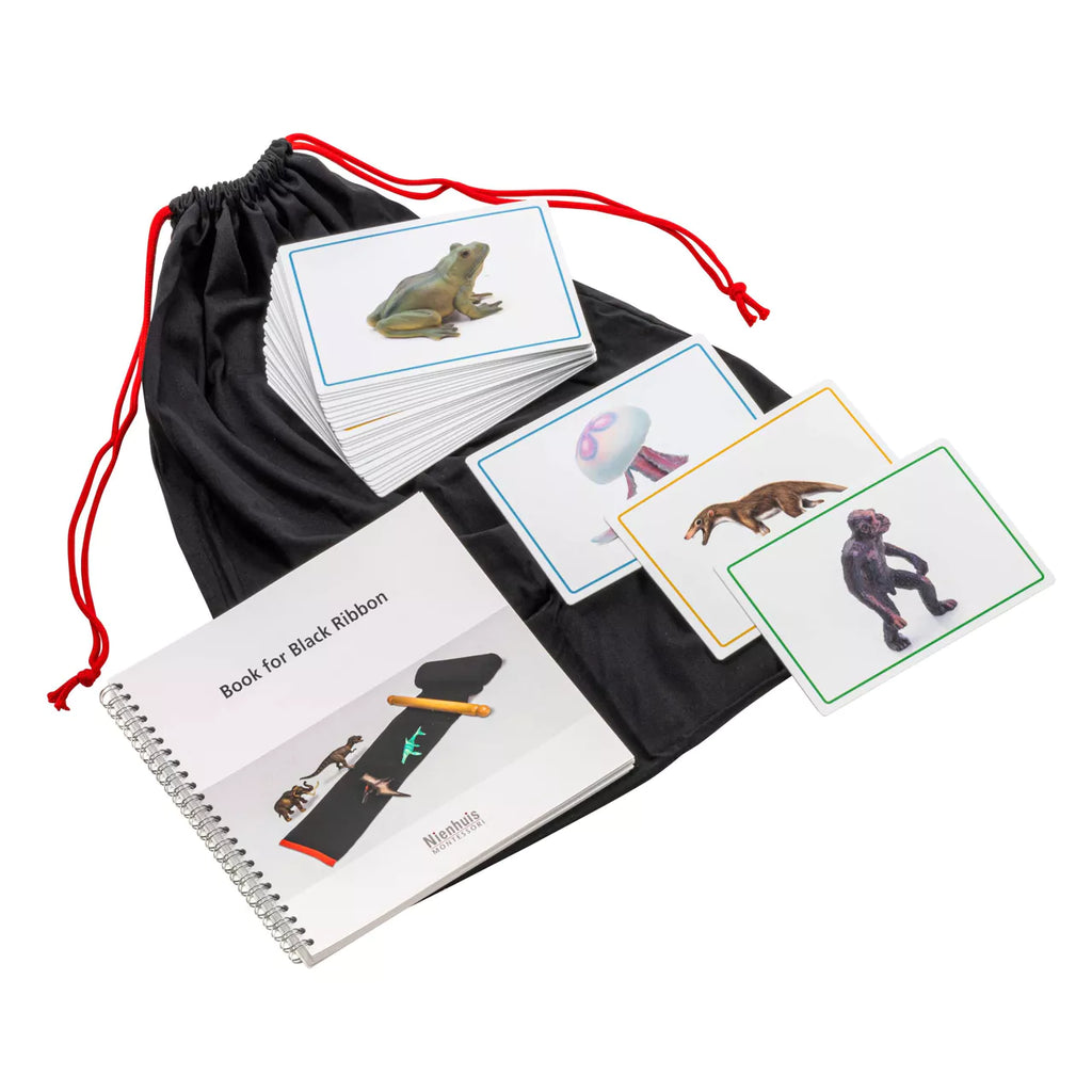 ANIMALI E LIBRO STRISCIA EVOLUZIONE TERRA