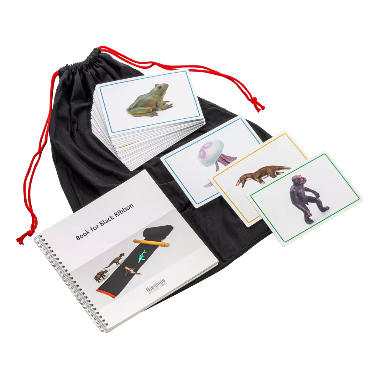 ANIMALI E LIBRO STRISCIA EVOLUZIONE TERRA Immagine principale del prodotto