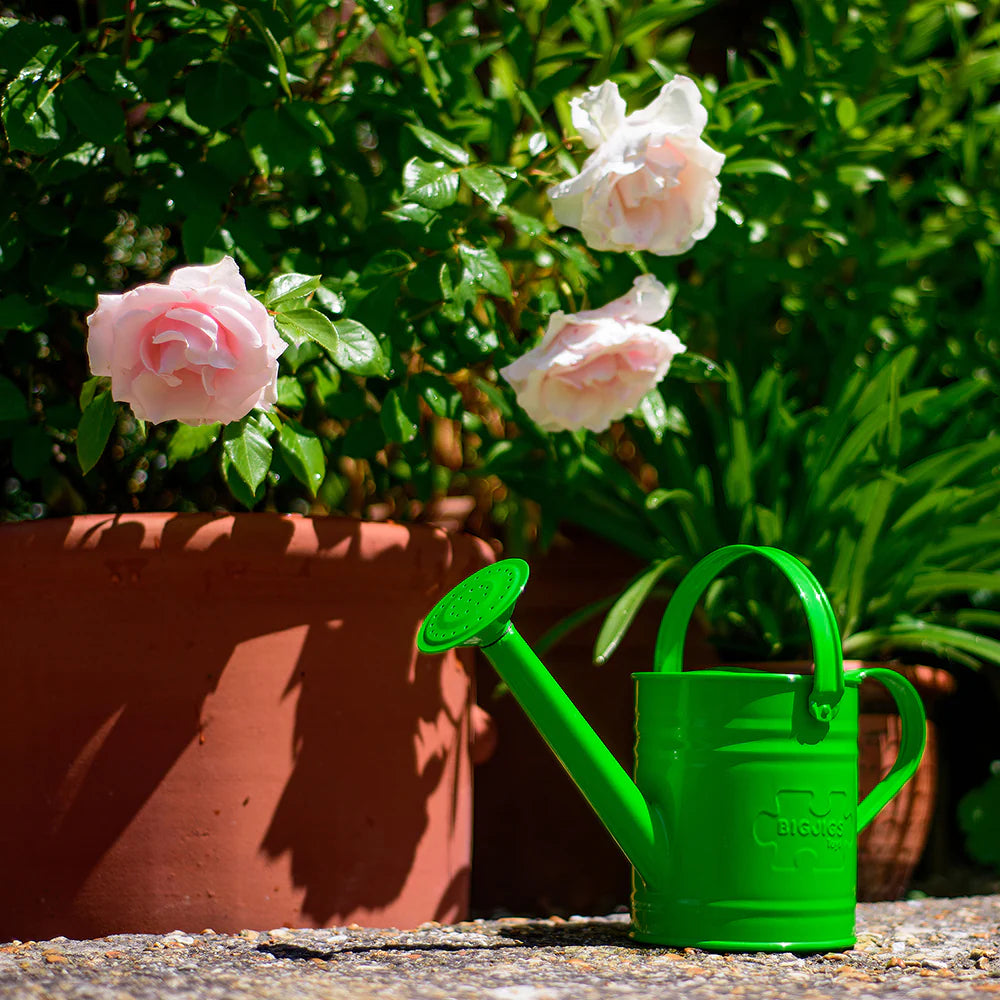 ANNAFFIATOIO IN METALLO VERDE