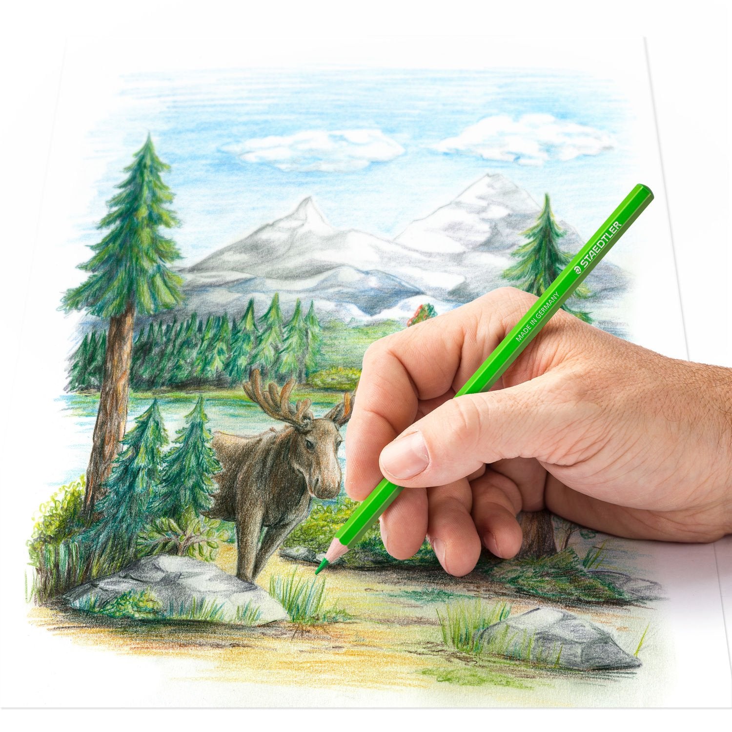 MATITE COLORATE STAEDTLER / 12