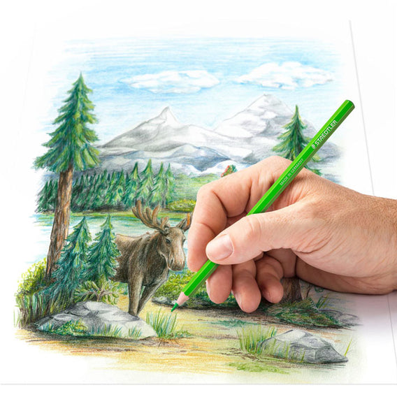 MATITE COLORATE STAEDTLER / 24