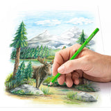 MATITE COLORATE STAEDTLER / 24