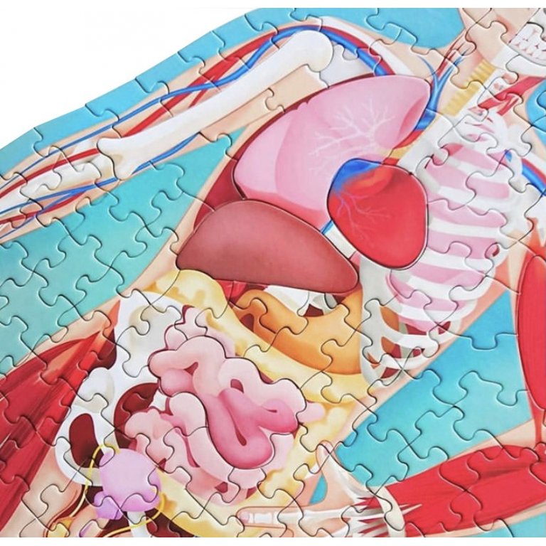 VIAGGIA, CONOSCI, ESPLORA - IL CORPO UMANO