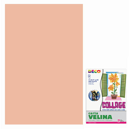 VELINA CM.50X76 - BUSTA 24 FG. - ROSA CARNE Immagine principale del prodotto