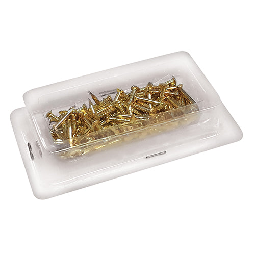 CHIODI PER ATTACCAGLIE - BLISTER 100 PZ. CIRCA