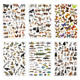 ADESIVI - SET 6 FOGLI MM. 218X318 (300 PZ.) - ANIM