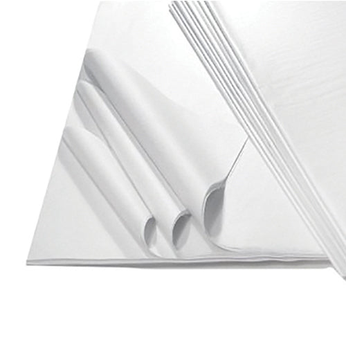 CARTA VELINA GR.22 - SET 100 FG. CM.100X140 - BIANCO Immagine principale del prodotto