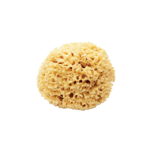 SPUGNA MARE DIAM. 4/5 CM. - BUSTA 3 PZ.