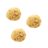 SPUGNA MARE DIAM. 4/5 CM. - BUSTA 3 PZ.