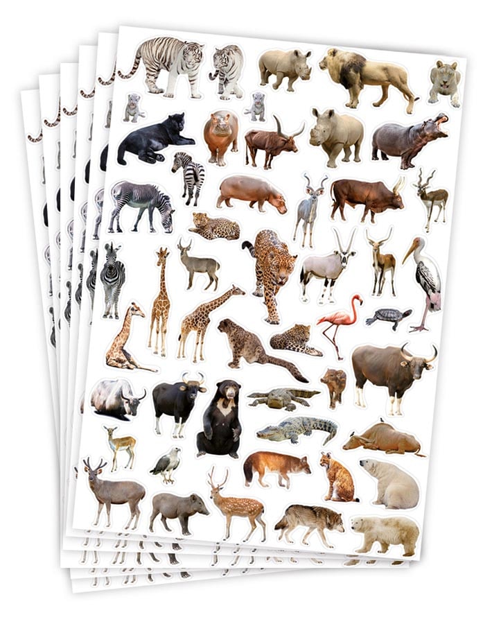 ADESIVI - SET 6 FOGLI MM. 218X318 (300 PZ.) - ANIMALI SELVAGGI Immagine principale del prodotto