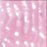 MOSAICO VENEZIANO - CONF.80 TESSERE - ROSA MEDIO