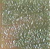 MOSAICO VENEZIANO - CONF.80 TESSERE - TRAVERTINO