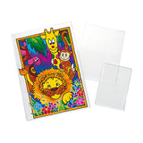 PLASTOVETRO LISCIO CM. 23X32 - CONF.5 PZ.